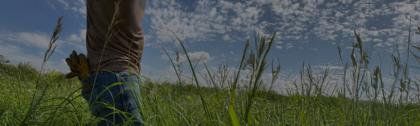Torso of a rancher walking in a green field with a blue sky with clouds.